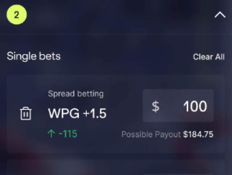 Bet